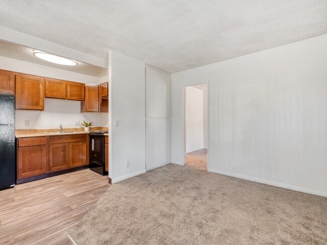 Wood Style Flooring and Plush Carpeting