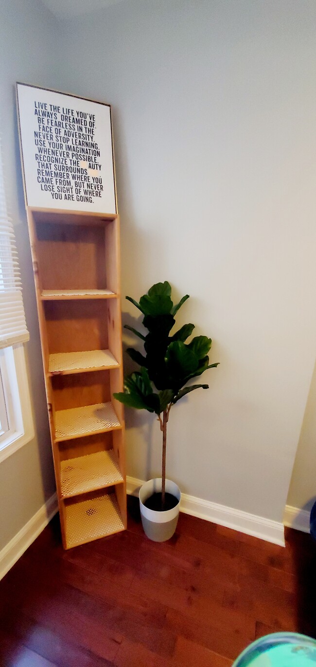 Photo - 5417 Spruce St