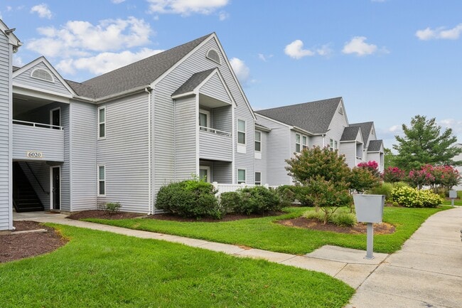 New Forest Apartments