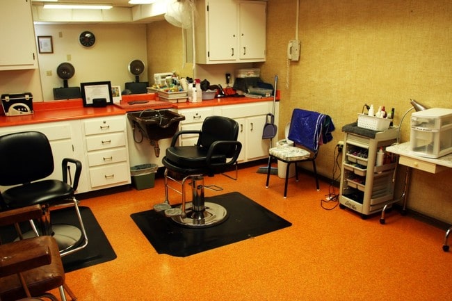 Salon