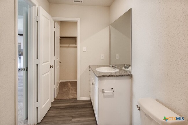 Photo - 1915 Chiffchaff