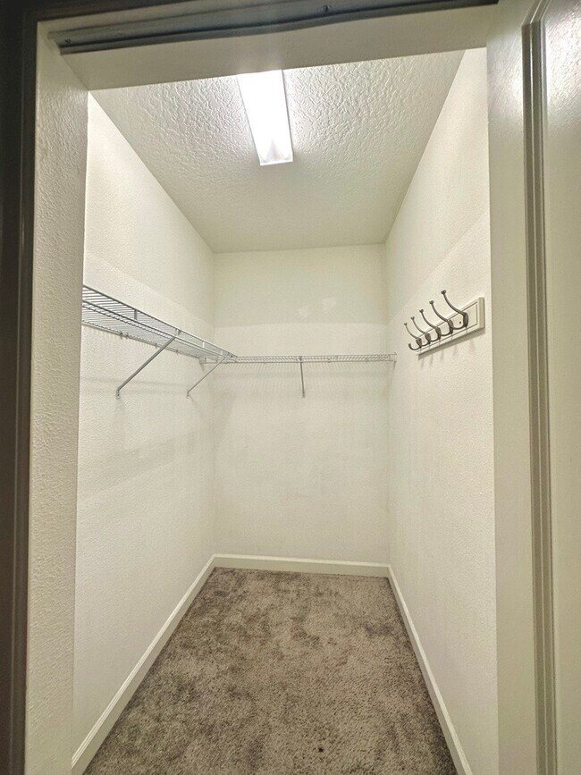 11066 Whistling Pne Wy Townhome Townhome Rental in Orlando FL