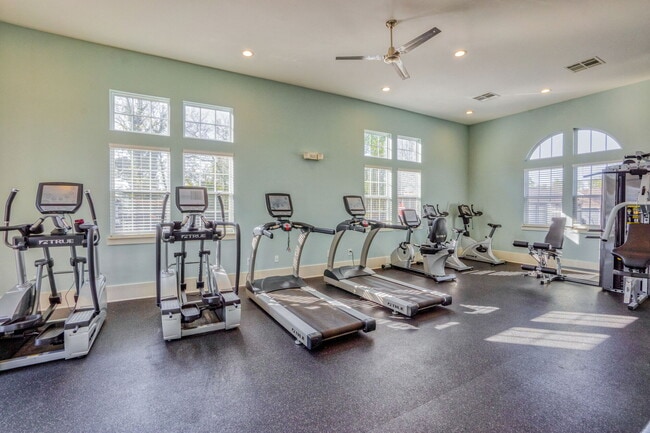 Photo - Belle Haven Apartments