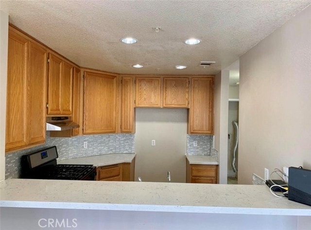 Photo - 13046 Sycamore Village Dr