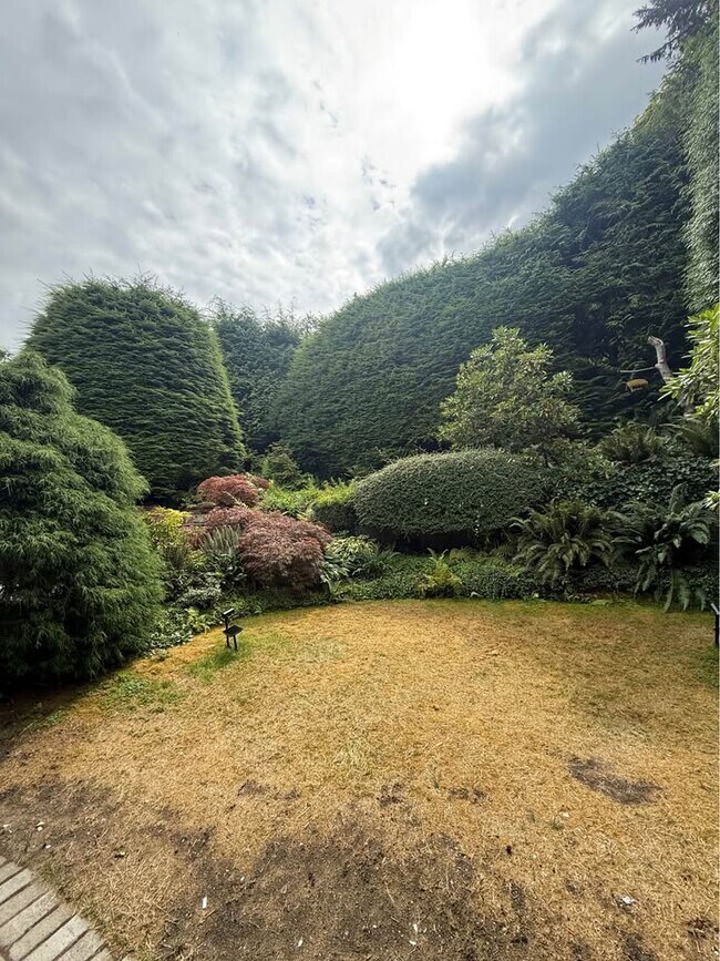 Photo - 810 Burley Dr