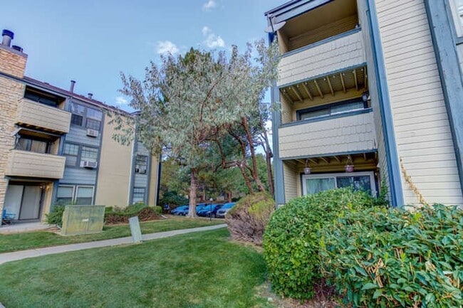 Photo - 1 Bedroom 1 Bathroom Beautifully Updated Washer/Dryer In Unit Unit 18