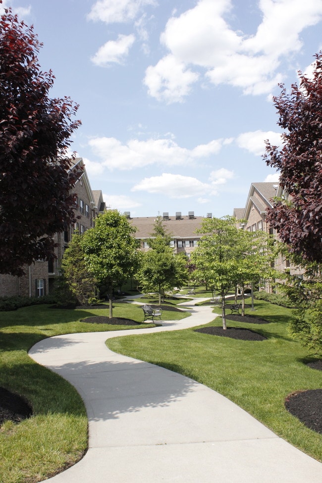 Court Yard