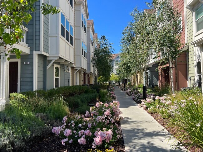 community - 918 Arietta Dr