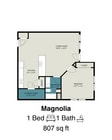 Magnolia