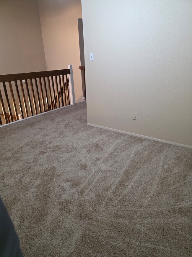 Photo - 13033 Wirevine Ln