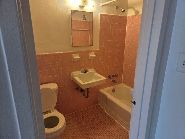 Photo - Robin Towers