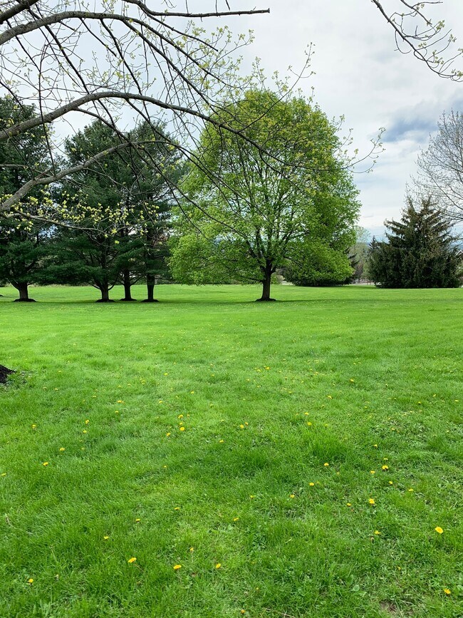 Photo - 1051 Danby Rd Unidad A3