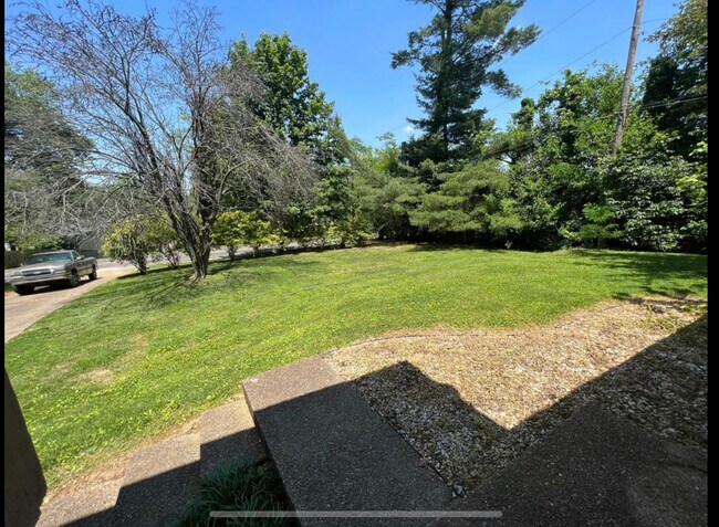Front yard
