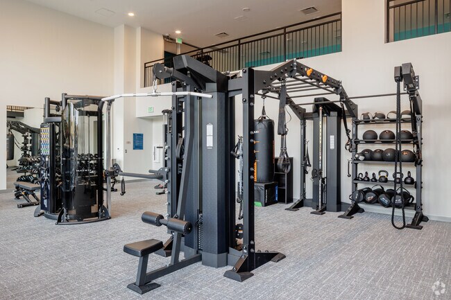 Gimnasio