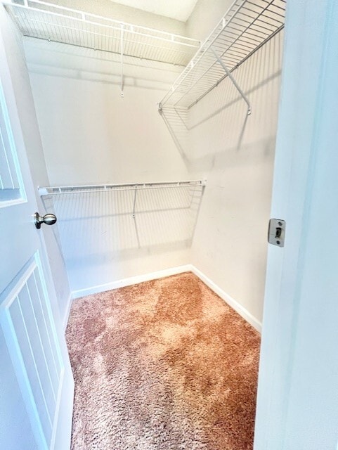 Photo - 3035 S Wild Turkey Dr