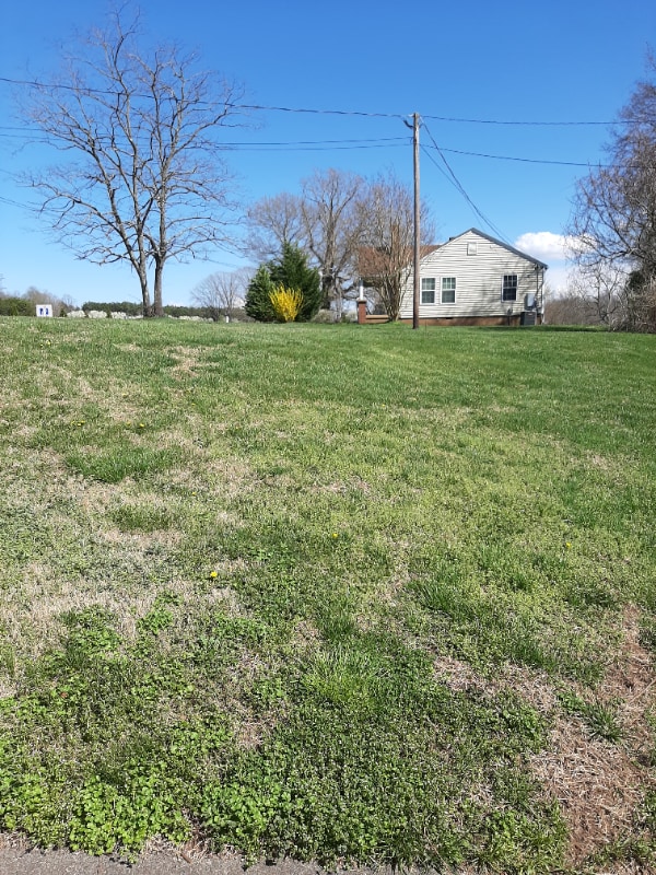 Photo - 885 Rural Hall-Germanton Rd