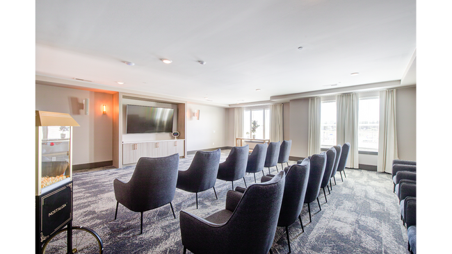 Theatre Room