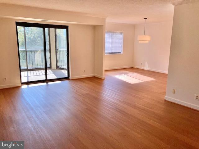 Photo - 5902 Mt Eagle Dr Unit 106