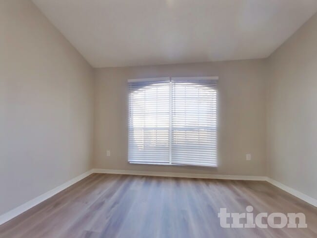 Photo - 2009 Kiwi Trail