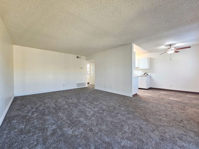 Photo - Shady Terrace