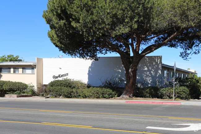 Pine Terrace Apartments - PTerrace
