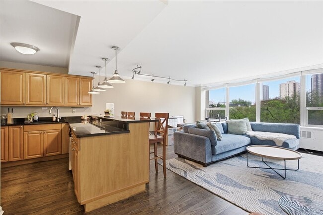 Photo - 1360 N Sandburg Terrace Unit 510C