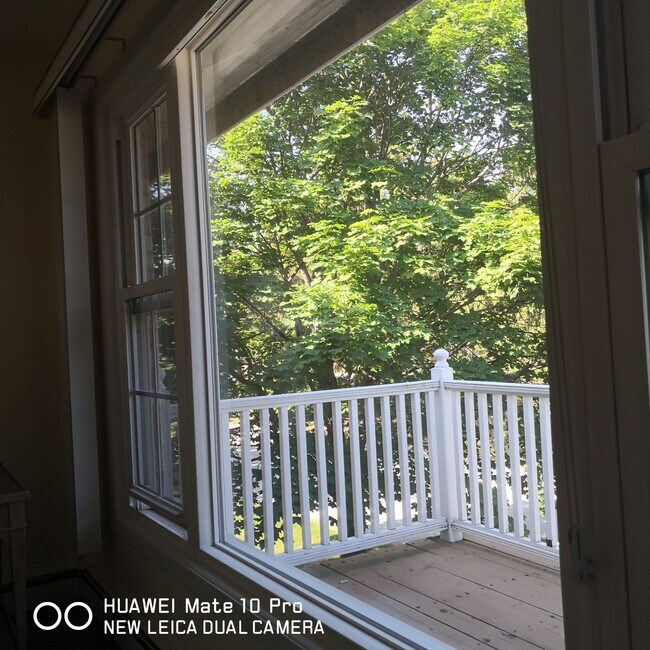 Large Living Room Window - 524 Laurel Lake Rd Unit Laurel Lake