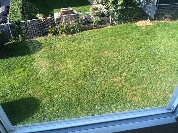 Photo - 61 Adamson St Unit 1