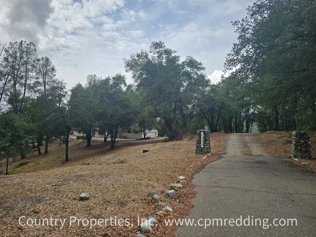 Photo - Amazing Short-Term Housing Opportunity in ...