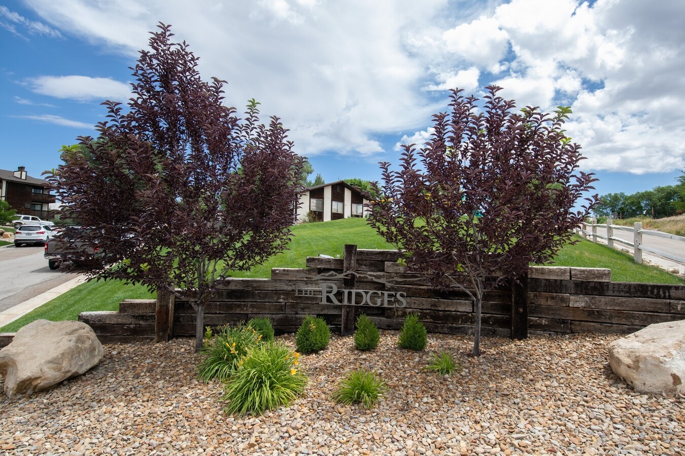 The Ridges - The Ridges Apartments