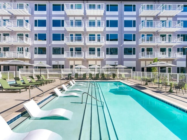 Our resort-style pool and roomy sundeck at Modera Raleigh Hills make every day feel like a getaway. - Modera Raleigh Hills