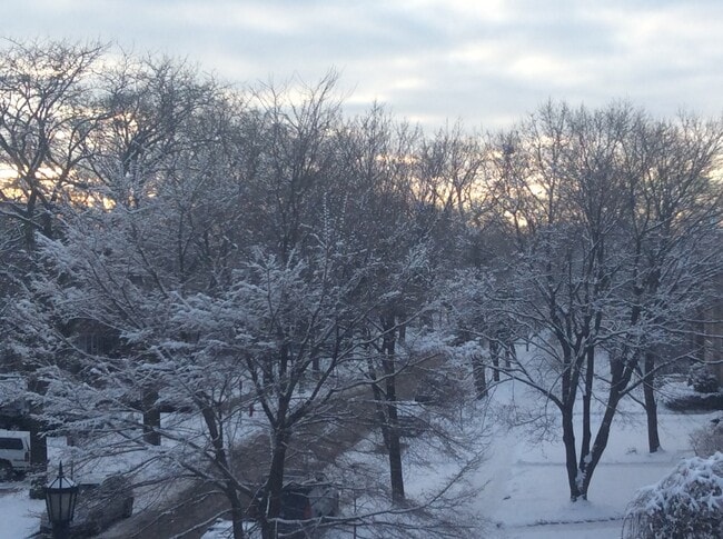 Calming view - 1011 Hull Terrace Unit 1-2