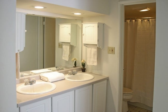 Bathroom - Lakeview Terrace Apartments