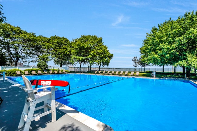 Lap Pool