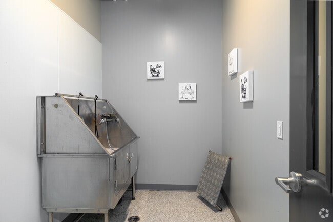 Pet Wash
