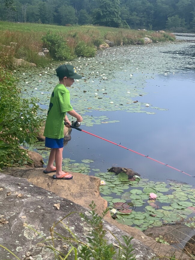 Photo - 336 Woodville Rd