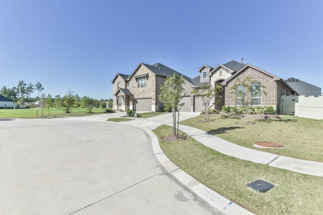Photo - 17218 Olive Blossom Ct