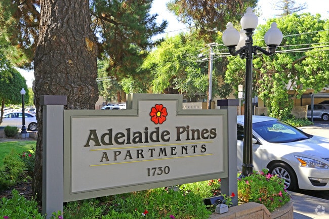 Photo - Adelaide Pines