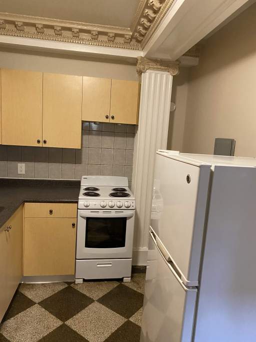 Photo - The Sheldrake Unit Bachelor