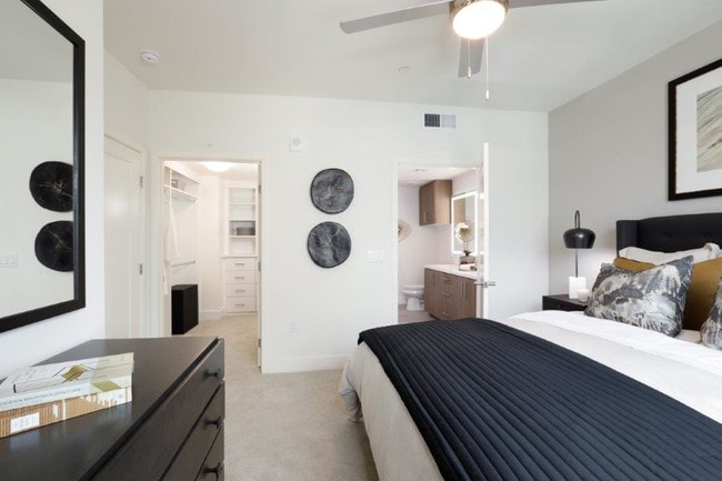 Cozy Comfort | 2B B930 Club Collection