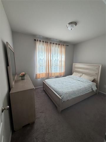 Photo - 3120 Josefina Ln