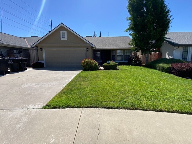 SW Visalia Home coming soon! - SW Visalia Home coming soon!