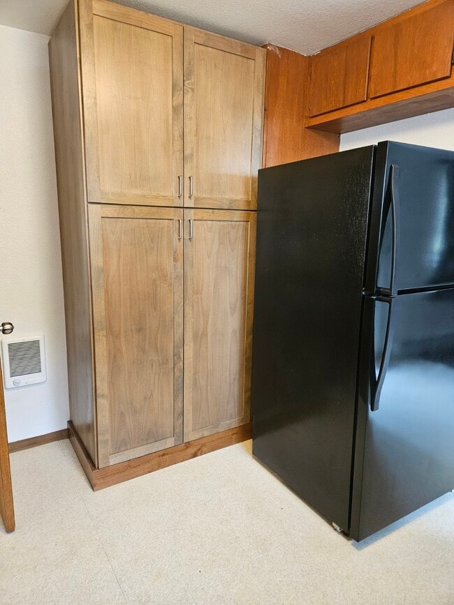 New large pantry - 452 N Van Buren St Unit 1