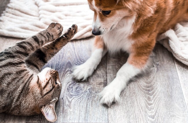 Photo - Parkway Place