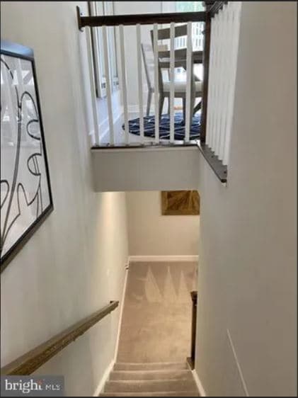 Sótano/Sala de recreación - 1018 Rosecroft Ln