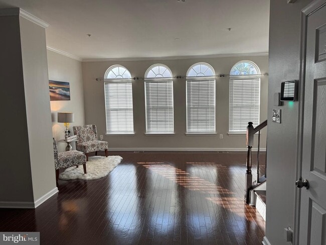 Photo - 4619 Forest Pines Dr