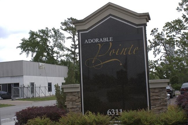 Photo - Adorable Pointe