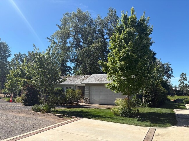 Building Photo - 5703 Chapel Dr