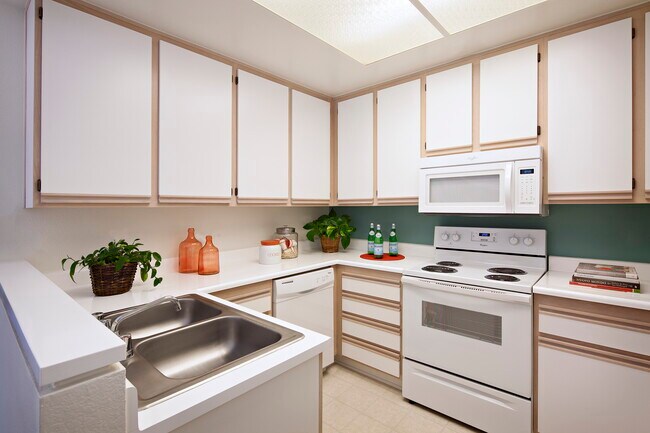 San Paulo Apartment Homes