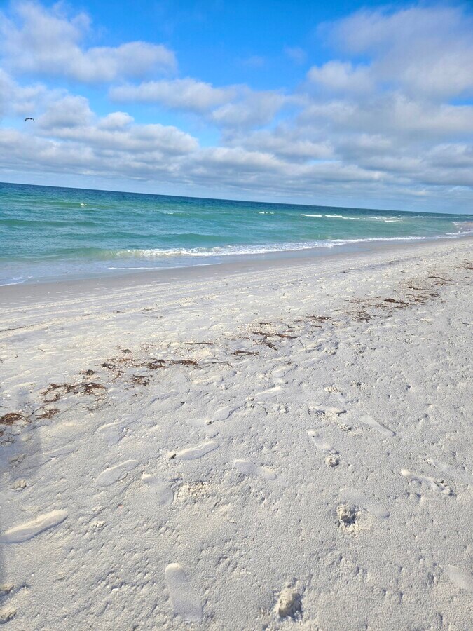 Photo - 867 Mandalay Ave